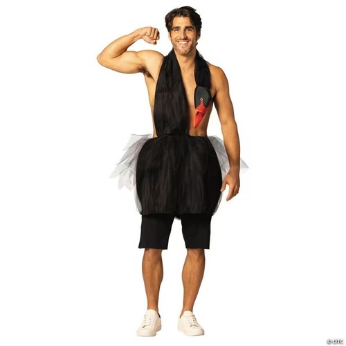 Adults black swan - adults,
