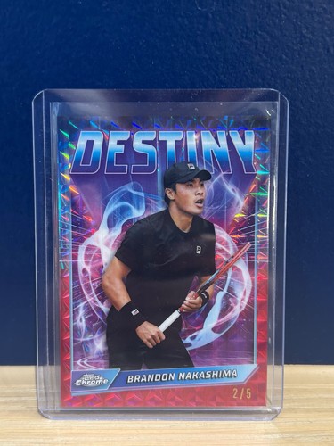 Brandon nakashima destiny - brandon,