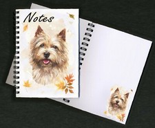 Norwich Terrier
