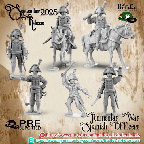 28mm napoleonic spanish - 28mm,