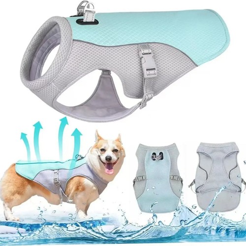 Dog cooling vest - dog,