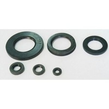 TourMax Engine Oil Seal Kit