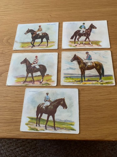 Race horses south - horses,