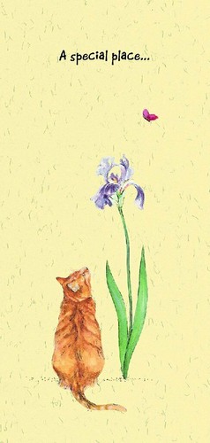 Magnificent moggies greeting - magnificent,