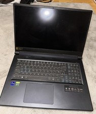 ACER Predator Helios 300 17.3"