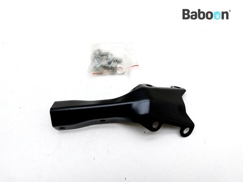 Rear fender license holder - rear,