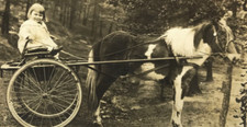Vtg RPPC Horse Pony Drawn Buggy Cart Young Girl Rubber Wheels #96