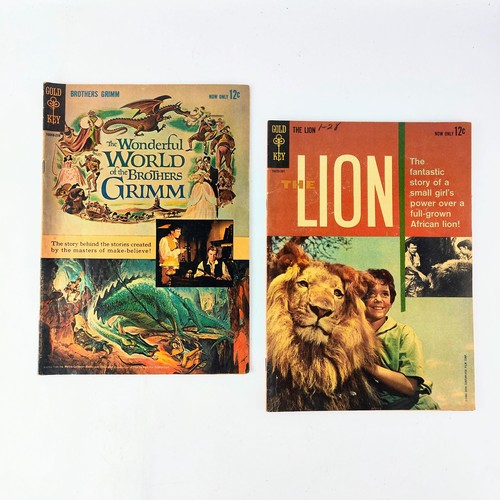 Gold key the lion - key, wonderful