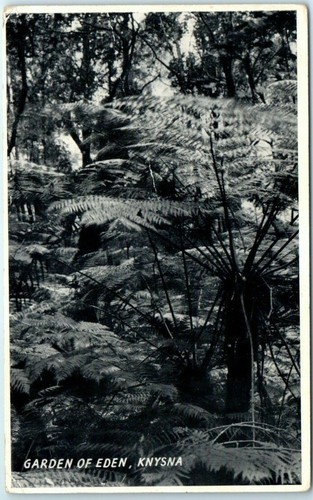 Postcard garden of eden - of,