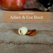 Adam and eve root - root, (