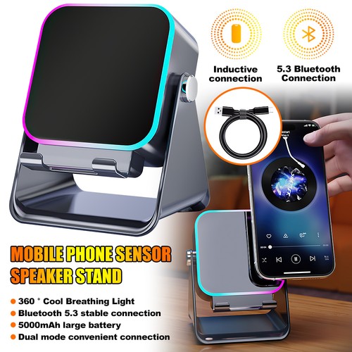 Wireless induction speaker - induction,