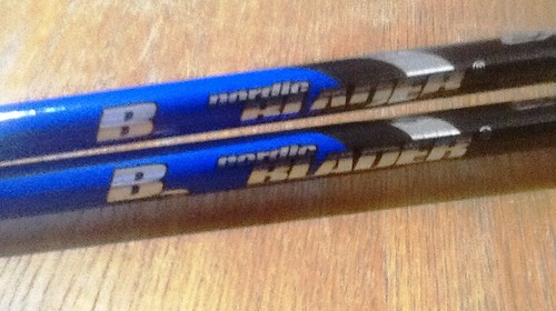 Exel nordic ski - poles,