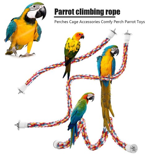 Pet bird cotton - bird,