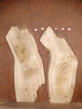 Qty 2 - English Oak live