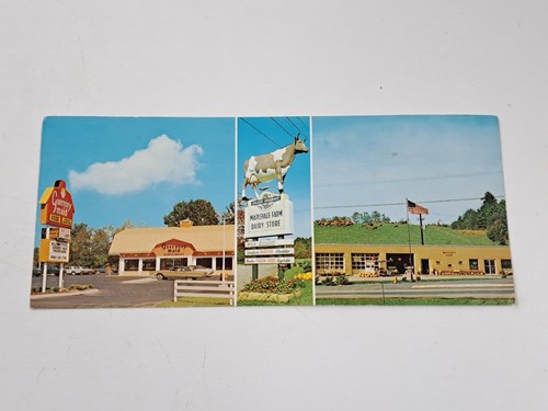 Vintage postcard maplevale - postcard.,