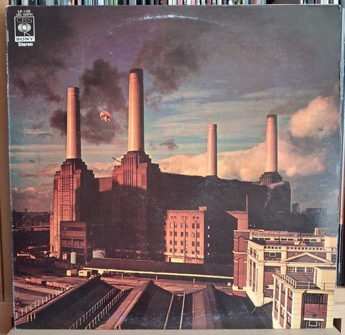 Pink floyd animals lp - pink,