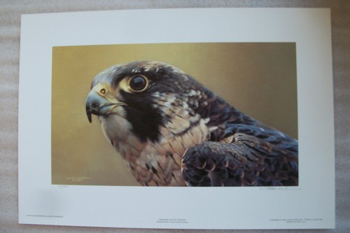 Carl brenders ltd print - carl,