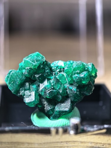 Rare dioptase crystal specimen - rare,