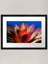 Bromeliad On Fire Framed Art