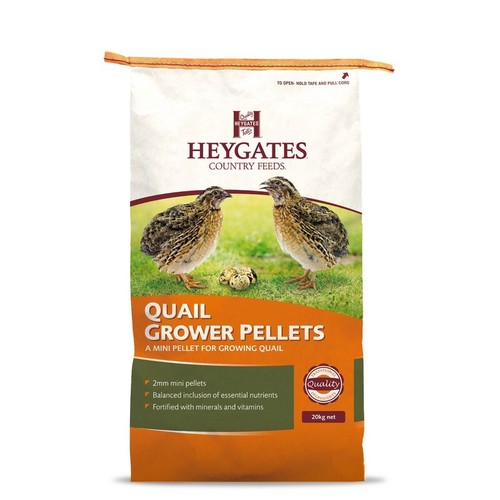 Heygates quail partridge - quail, &