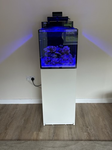 Red sea max - max, nano