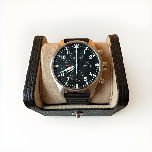 2022 iwc pilot - iwc, watch
