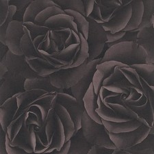 Rasch Floral Rose Wallpaper