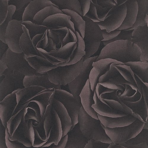Rasch floral rose wallpaper - rasch,
