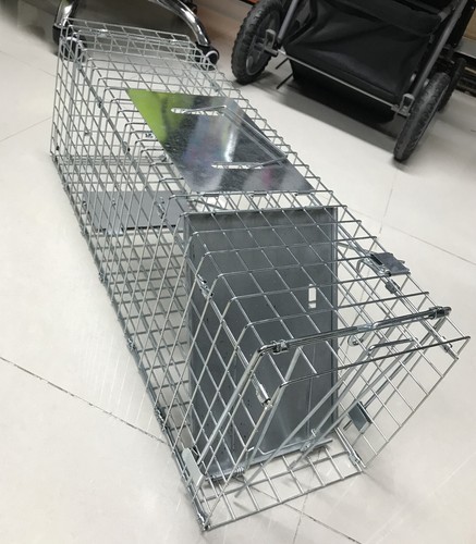 Large humane rat trap cage - large,