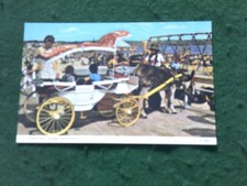 WEYMOUTH Dorset Donkey and carriage