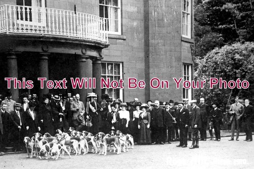 758 fox otter hounds - otter,