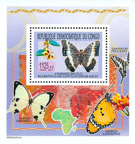 Democratic republic the - of,
