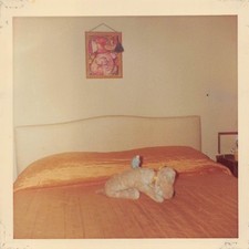 Vintage 1966 Blue Parakeet