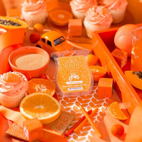 Scentsy oodles of orange - oodles,