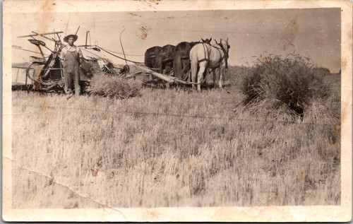 Farmer horse drawn wagon - drawn, farm