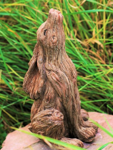 Large wild hare garden - wild,
