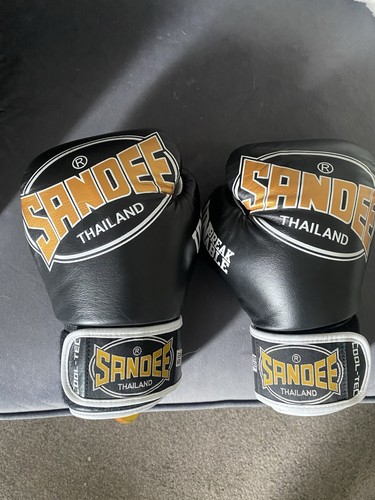 Sandee cool tec thai boxing - sandee,