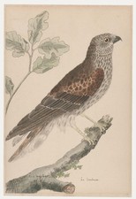 After Francois-Nicolas