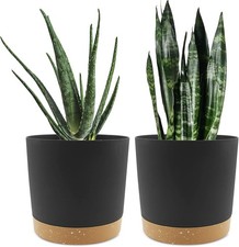 QCQHDU 20cm Plant Pot 2 Pack Planters for Indoor Plants with Drainage Holes