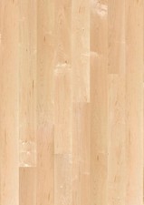 Maple Engineered Wood Flooring