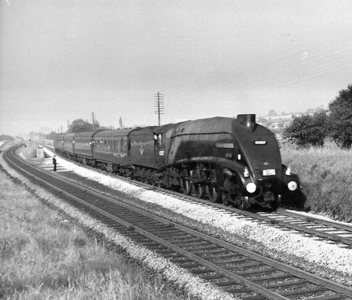 Vintage photo 60007 - vintage, lner