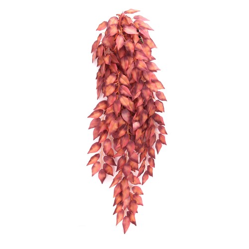 Betta terra red terrarium vine - betta,