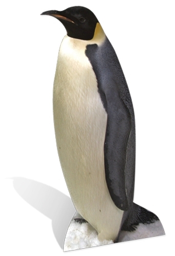 Penguin lifesize cardboard - penguin,