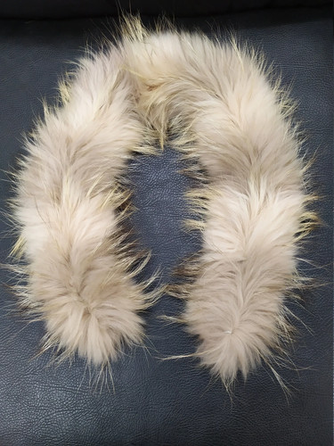 Real finn raccoon - finn, fur