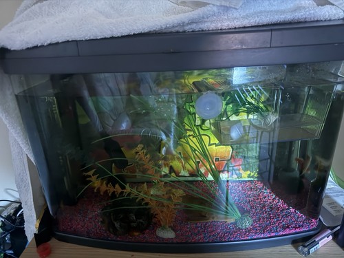 Glass rectangular freshwater - glass,