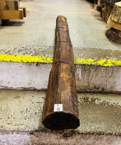 Snakewood aaa grade log - grade,