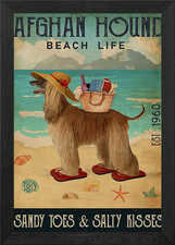 Afghan Hound Dog Beach Framed