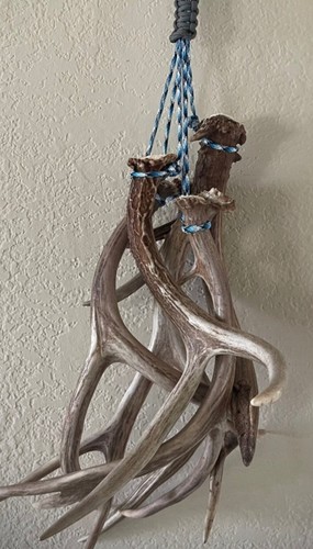 550 paracord shed tote - 550, carrier