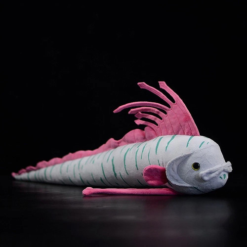 Inch oarfish ribbon fish - inch,