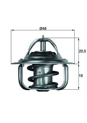 Thermostat coolant mahle - coolant,